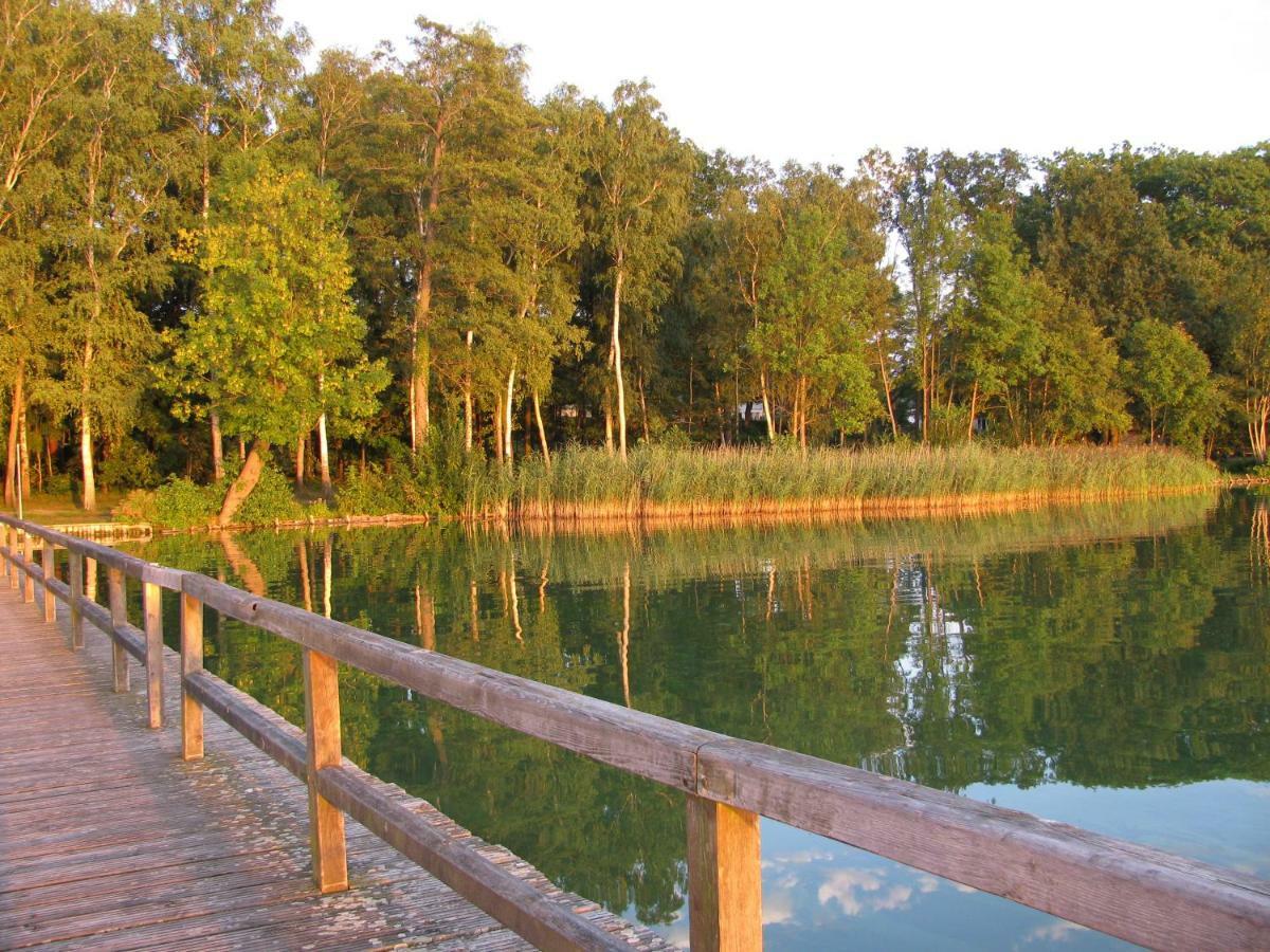 Seeblick III Bad Saarow Extérieur photo